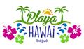 Playa Hawai